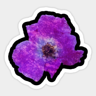 Purple rock flower Sticker